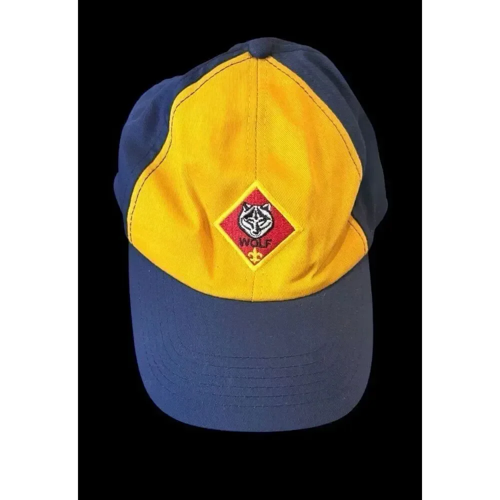 Boy Scouts of America boy scouts